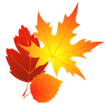 fall leaves